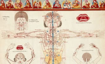 QUANTO SAPPIAMO DELLA MEDICINA TIBETANA?, Mirabile Tibet