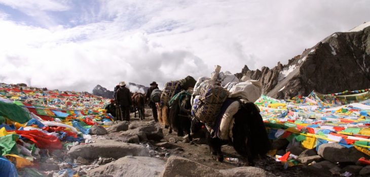 “LA PRESA DI RIFUGIO”: UNA PRATICA QUOTIDIANA DEI FEDELI BUDDISTI, Mirabile Tibet