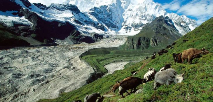 TRA ALTE MONTAGNE E VERDI VALLI: LE EMOZIONI DEL TIBET, Mirabile Tibet