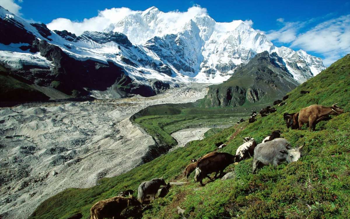 Tibet-Cina