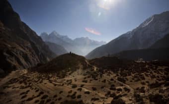 IN TIBET VERRANNO PIANTATI 600 KMQ DI FORESTA OGNI ANNO FINO AL 2020, Mirabile Tibet