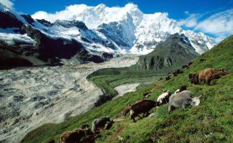 CONTINUARE SULLA STRADA DELL’APERTURA E DEL PROGRESSO, Mirabile Tibet