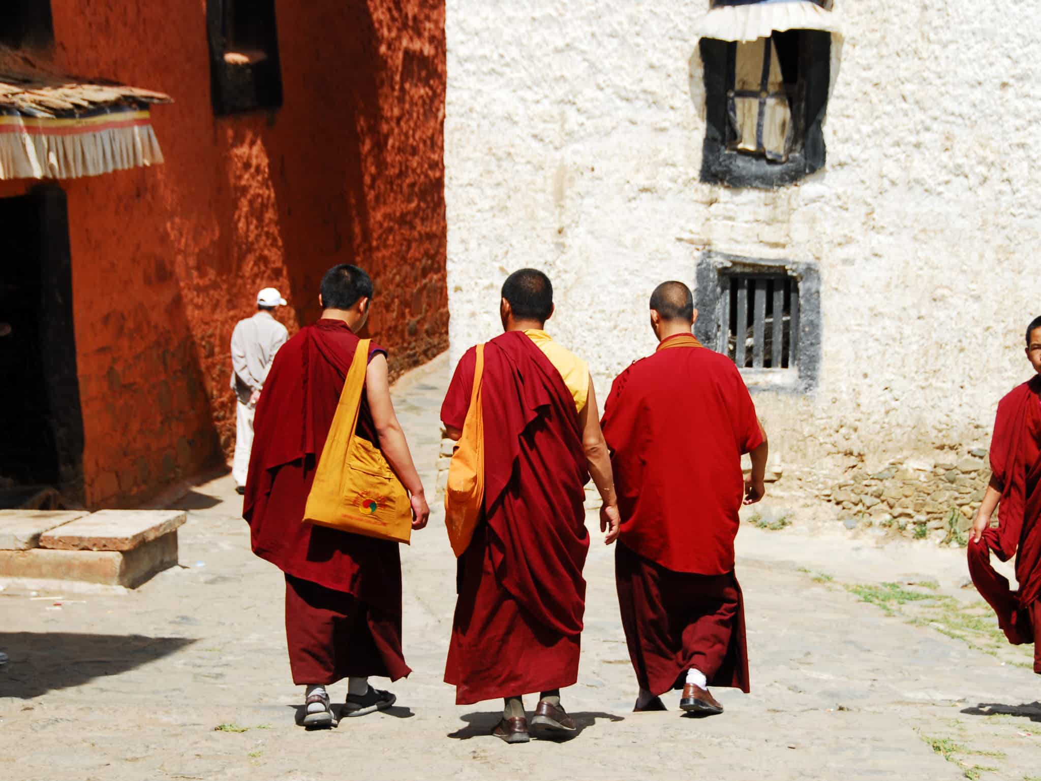 TIBET IN VIAGGIO: LE 5 CURIOSITA’ CHE VI FARANNO INNAMORARE DEL TETTO DEL MONDO, Mirabile Tibet