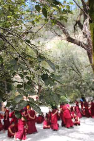 Chi sono veramente i “Tulku”: una tradizione unica, Mirabile Tibet