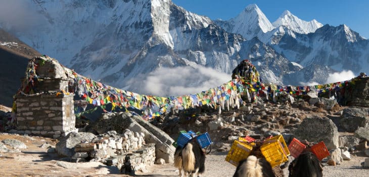 LA GRANDEZZA DELLA MONTAGNA: GEOGRAFIA E NATURA DEL TIBET, Mirabile Tibet