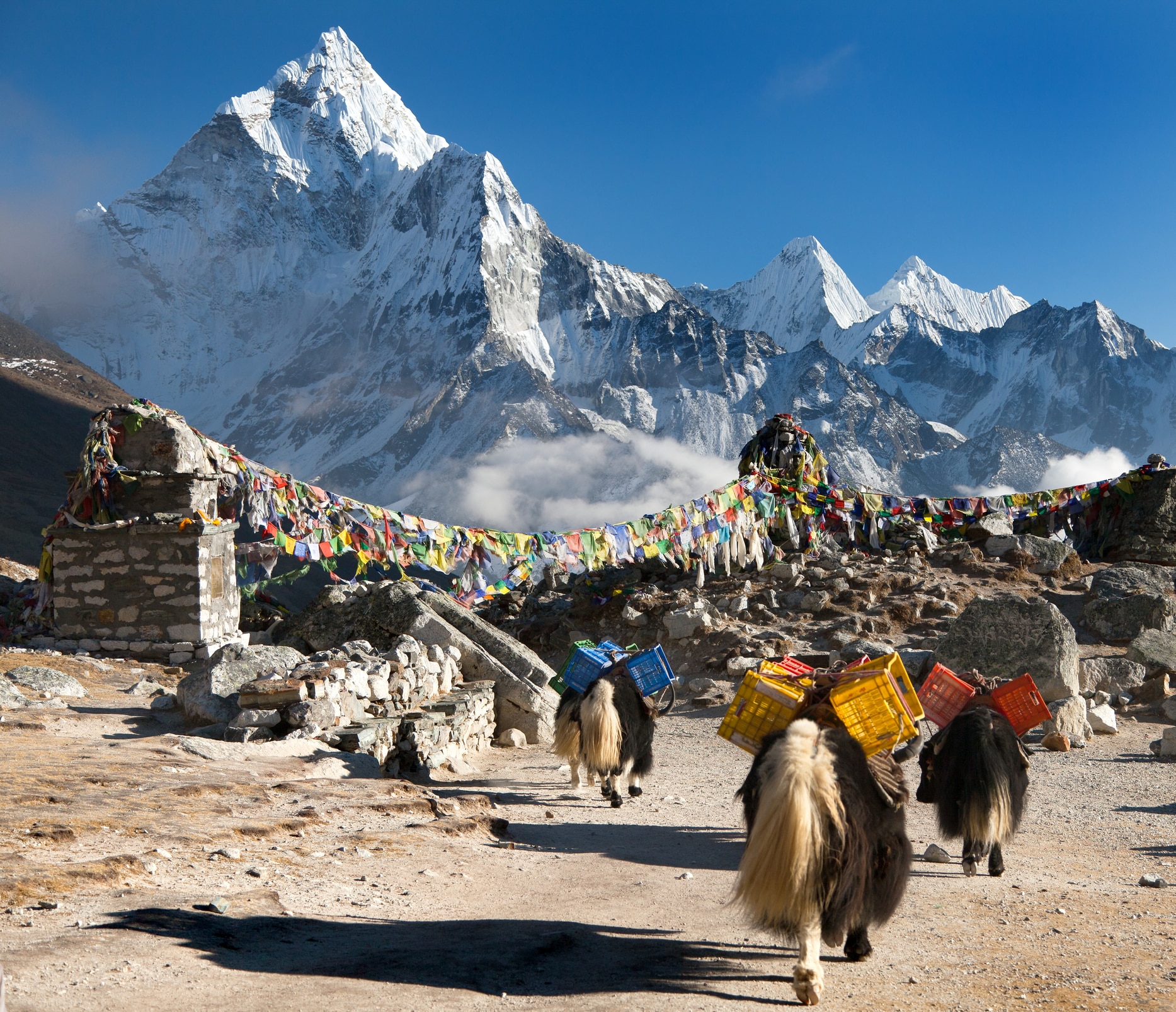 RISCALDAMENTO GLOBALE: IN TIBET, 2 MILIARDI DI DOLLARI IN 10 ANNI, Mirabile Tibet