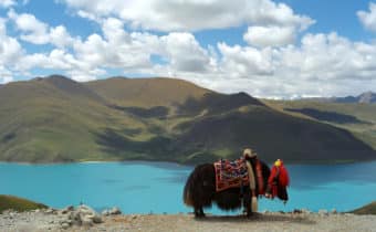 TIBET, LA CENTRALE IDROELETTRICA DELLA CINA, Mirabile Tibet