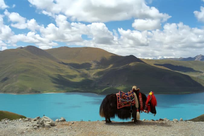 Alla scoperta dello Xizang: una storia tutta cinese, Mirabile Tibet