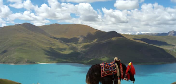 TIBET, LA CENTRALE IDROELETTRICA DELLA CINA, Mirabile Tibet