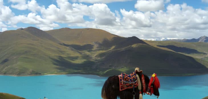 TESORO PREISTORICO INDIVIDUATO DA SPEDIZIONE DI RICERCA AL LAGO TIBETANO DI NAMTSO, Mirabile Tibet