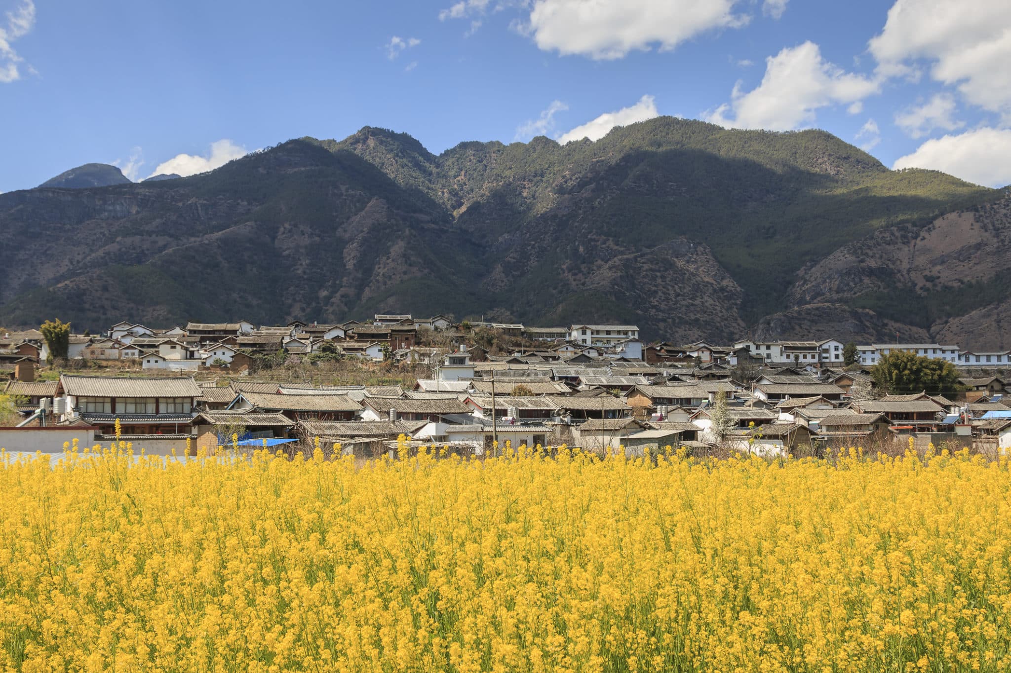 TIBET IN VIAGGIO: LE 5 CURIOSITA’ CHE VI FARANNO INNAMORARE DEL TETTO DEL MONDO, Mirabile Tibet