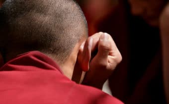 L’ORIGINE DELLA REINCARNAZIONE DEL BUDDHA VIVENTE, Mirabile Tibet