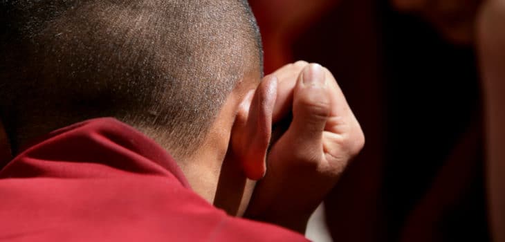 Chi sono veramente i “Tulku”: una tradizione unica, Mirabile Tibet