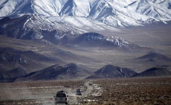 TIBET SELVAGGIO: AVVISTATO UN RARISSIMO “SCIACALLO DORATO”, Mirabile Tibet