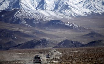 WILD TIBET: AVVISTATO UN RARISSIMO “SCIACALLO DORATO”, Mirabile Tibet