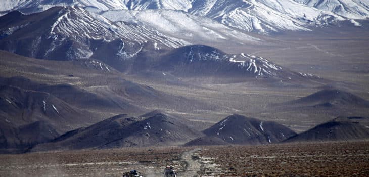 TIBET SELVAGGIO: AVVISTATO UN RARISSIMO “SCIACALLO DORATO”, Mirabile Tibet