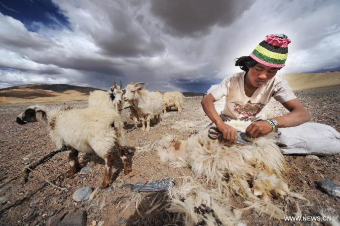 IL NOMADISMO? UNA COMPONENTE TRADIZIONALE DELLA CULTURA TIBETANA, Mirabile Tibet