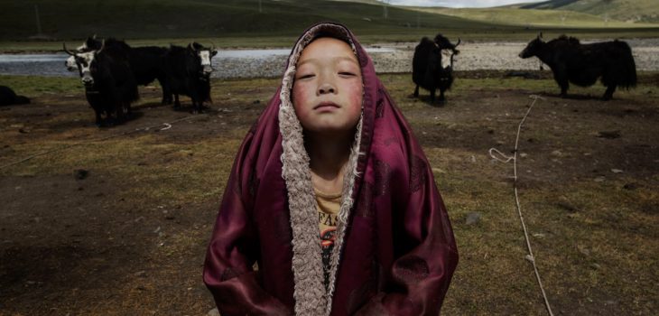 LOTTA ALLA POVERTA’: I PASSI IN AVANTI NEL DISTRETTO DI DÊNGQÊN, Mirabile Tibet