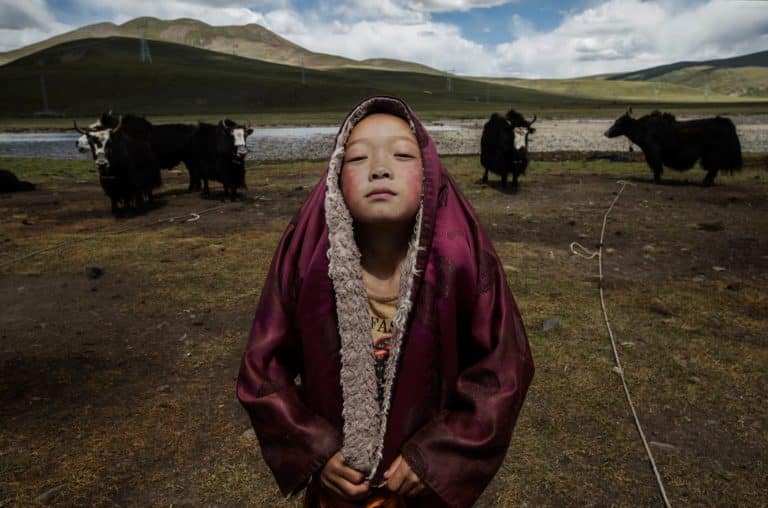 LOTTA ALLA POVERTA’: I PASSI IN AVANTI NEL DISTRETTO DI DÊNGQÊN, Mirabile Tibet