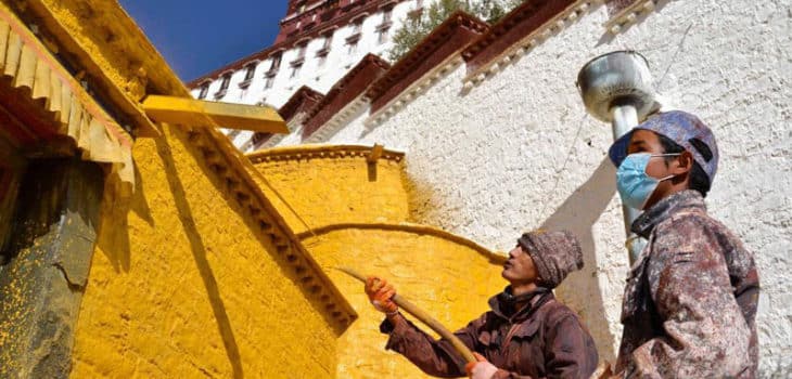 VERNICE, ZUCCHERO E BUDDHA: ECCO COME VENGONO RITINTEGGIATE LE MURA DEL POTALA, Mirabile Tibet