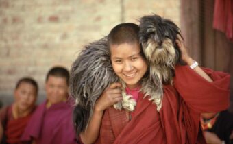 IL LHASA APSO, IL “PICCOLO” CANE DEL TIBET, Mirabile Tibet