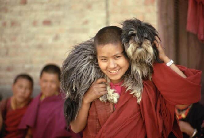 5 CURIOSITA’ CHE VI FARANNO INNAMORARE DEL TIBET, Mirabile Tibet