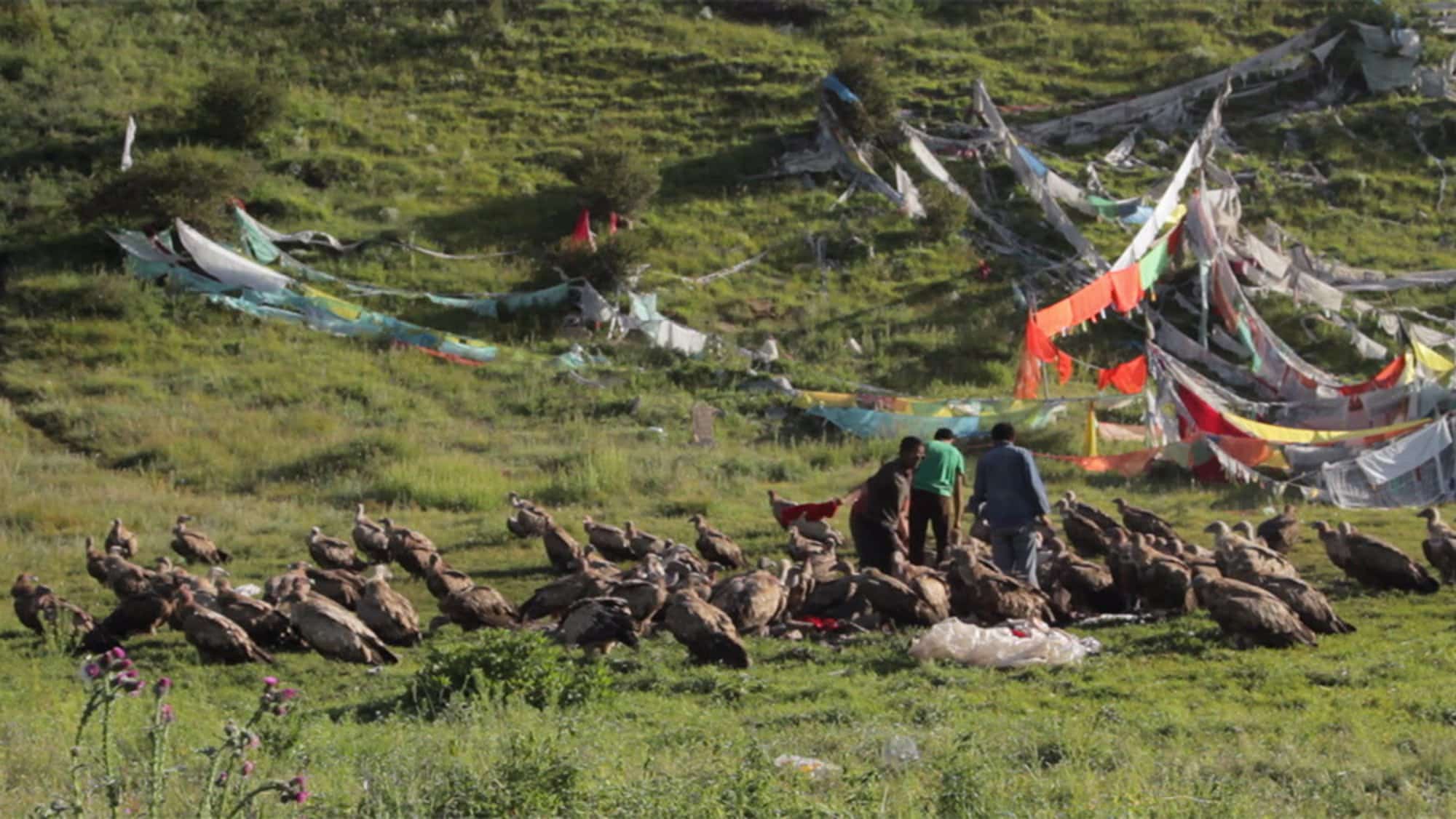 I “FUNERALI DEL CIELO”, UNA CERIMONIA CARICA DI SIGNIFICATI RELIGIOSI, Mirabile Tibet