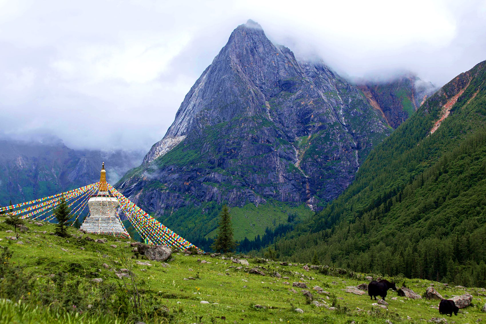 ALLA SCOPERTA DELLE VALLI HIMALAYANE, Mirabile Tibet