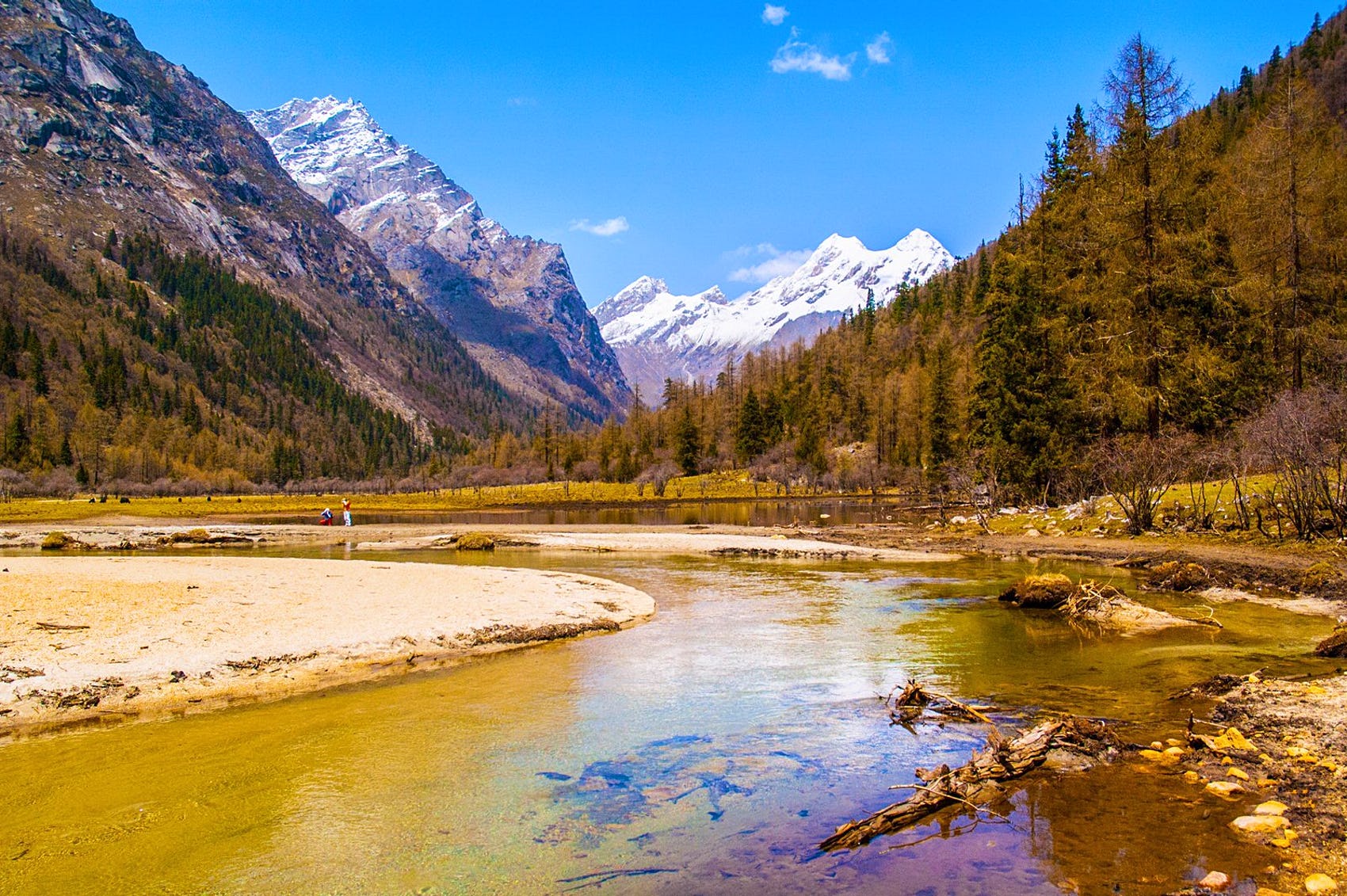 QUATTRO SORELLE ED I LORO TRE TESORI. ALLA SCOPERTA DELLE VALLI HIMALAYANE, Mirabile Tibet