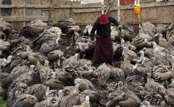 TIBET, L’ANTICA ORIGINE DEI FUNERALI DEL CIELO, Mirabile Tibet