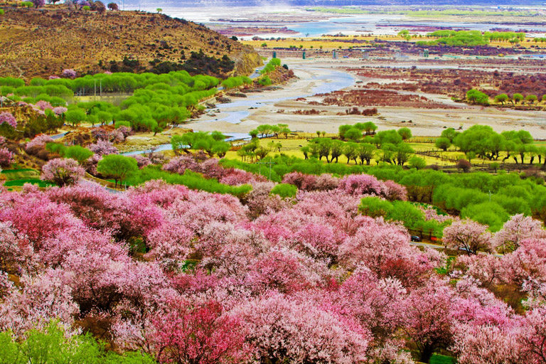 IL TURISMO NEL TIBET SCEGLIE LA BELLEZZA, Mirabile Tibet