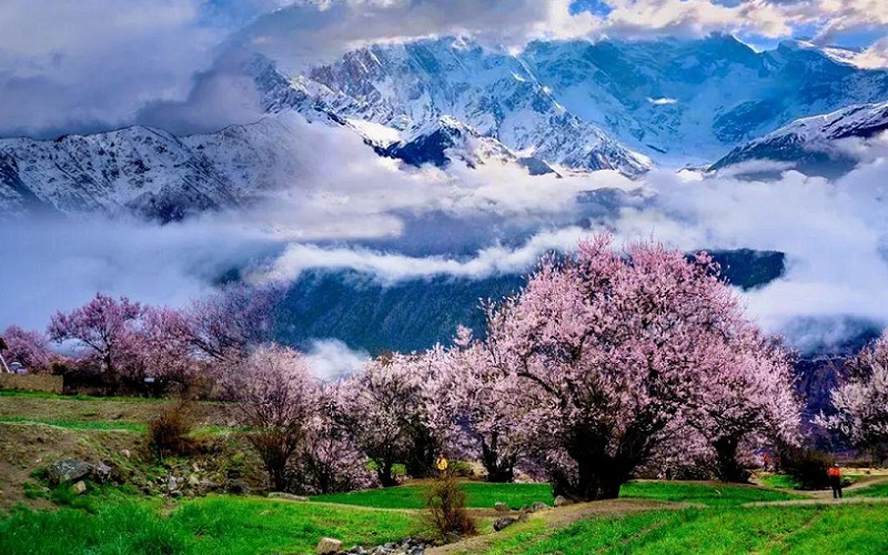 IL TIBET OGGI (2), Mirabile Tibet