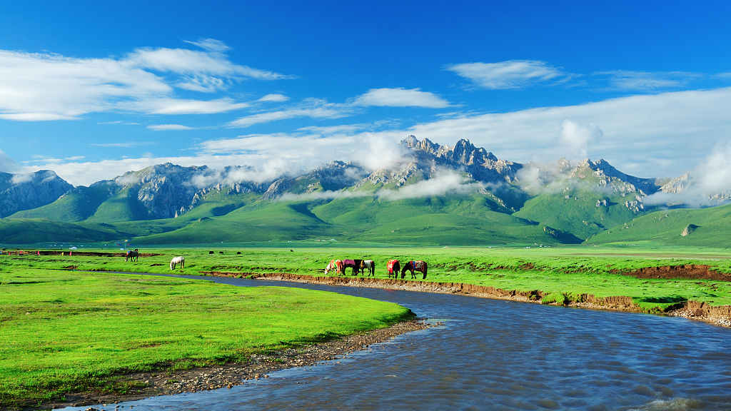 ALTRE DUE NOTIZIE GREEN DAL TIBET, Mirabile Tibet