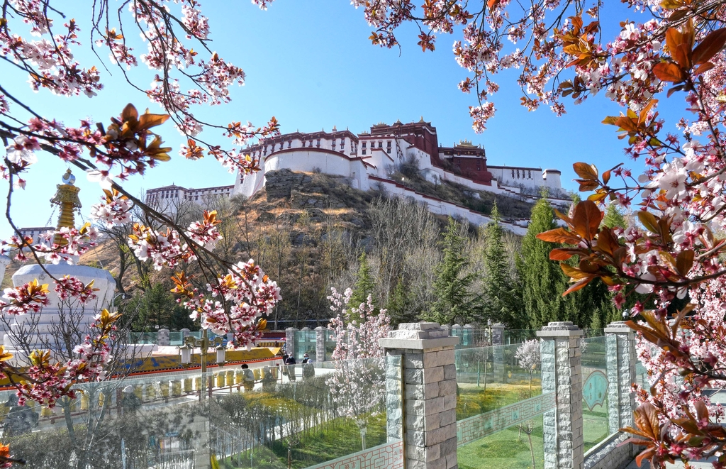 IL TIBET DI OGGI, DI IERI E DI DOMANI, Mirabile Tibet