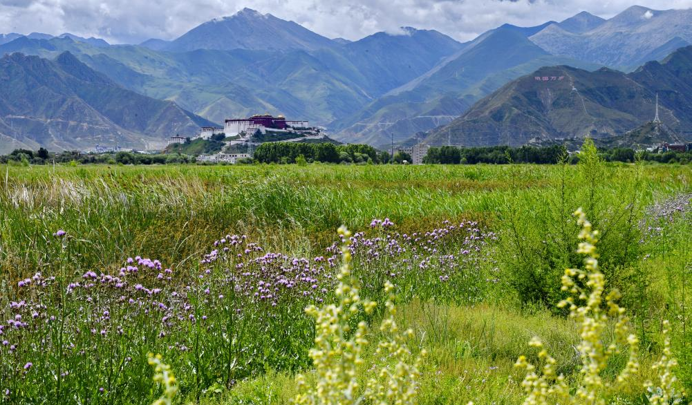PRESTIGIOSO RICONOSCIMENTO INTERNAZIONALE PER LHASA, Mirabile Tibet