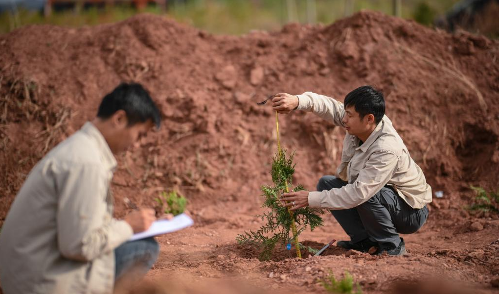 PROGETTI E CRESCITA NEL TIBET, Mirabile Tibet