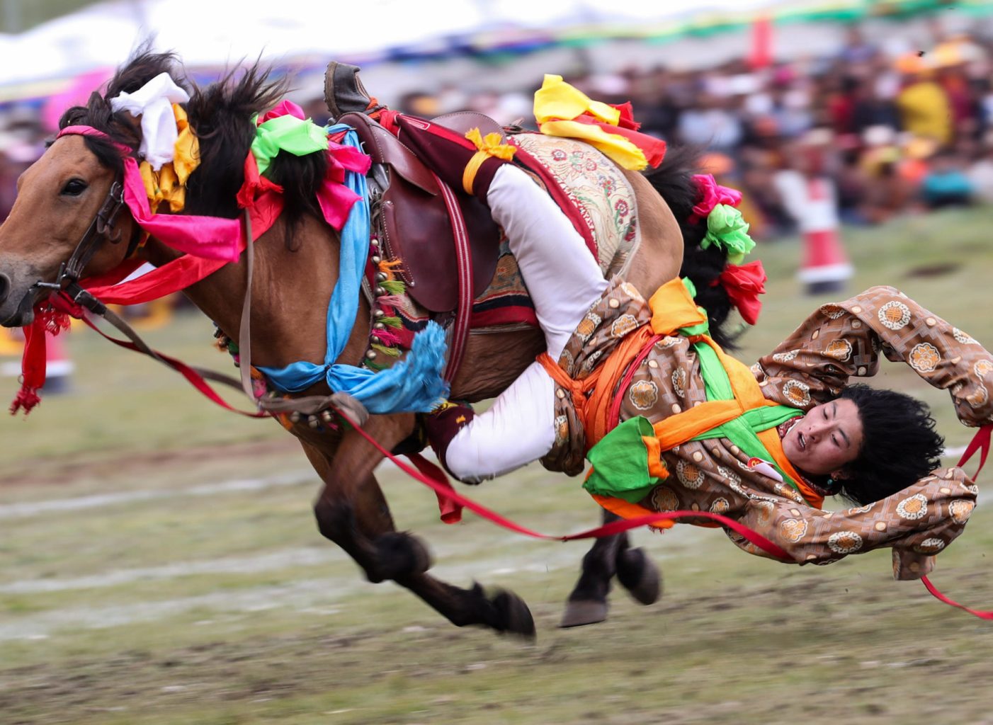 TIBET E I SUOI CAVALLI, Mirabile Tibet