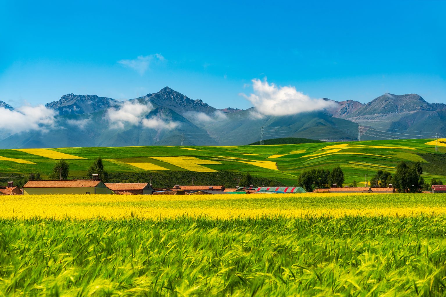 L’ARTE DEI PASCOLI DEL QINGHAI-TIBET, Mirabile Tibet