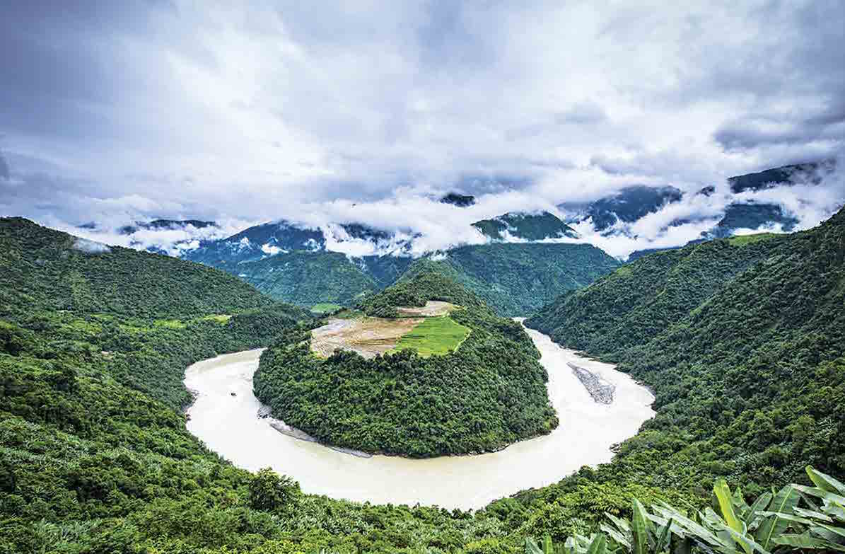 NUOVA PIANTA SCOPERTA NEL TIBET, Mirabile Tibet