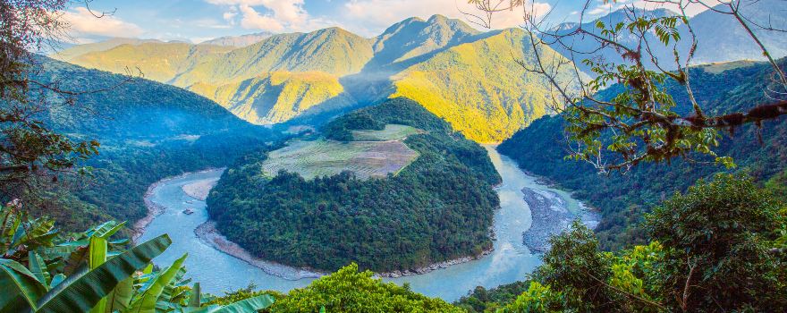 NUOVA PIANTA SCOPERTA NEL TIBET, Mirabile Tibet