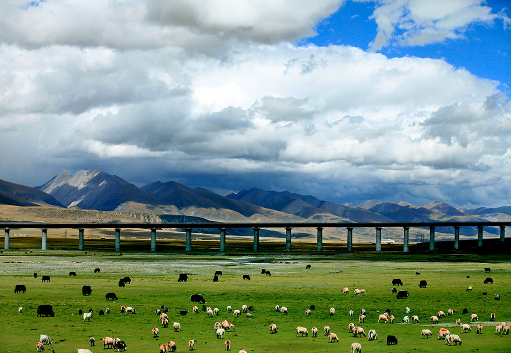 FERROVIE TIBETANE: LO SPETTACOLO CONTINUA, Mirabile Tibet
