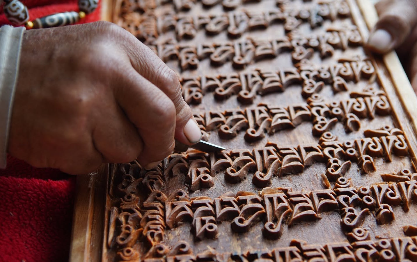 TIBET, DOVE LA CONSERVAZIONE SIGNIFICA SVILUPPO, Mirabile Tibet