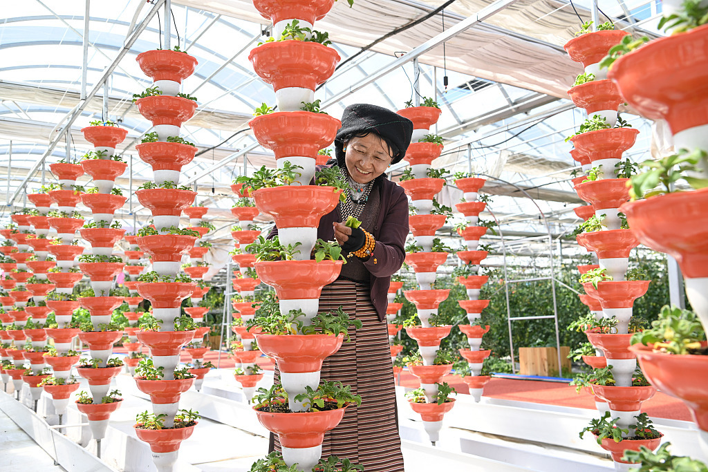 ZUCCHE GIGANTI E PARCHI AGRICOLI DEL TIBET, Mirabile Tibet