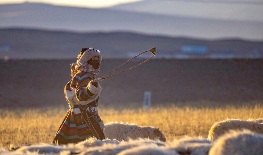 CAMPER MODERNI PER I PASTORI NOMADI TIBETANI, Mirabile Tibet