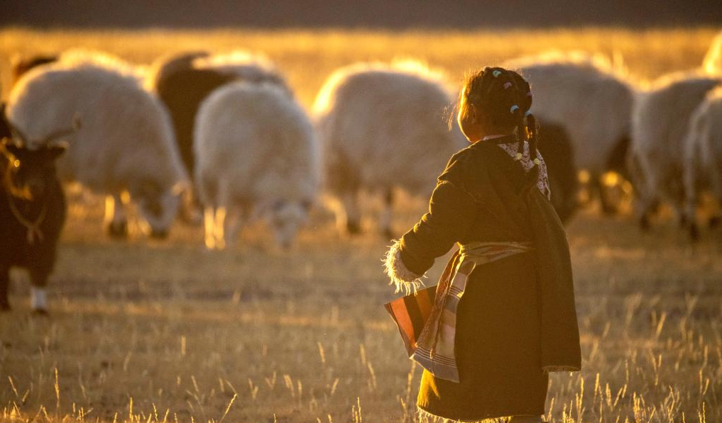 CAMPER MODERNI PER I PASTORI NOMADI TIBETANI, Mirabile Tibet