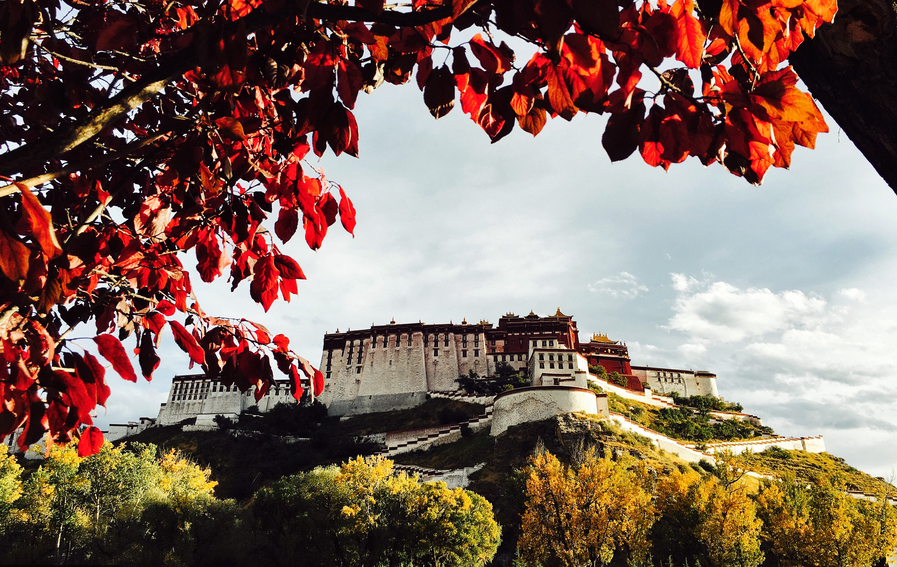 ALBERI, MESTIERI E LINGUE IN UN TIBET CHE CAMBIA, Mirabile Tibet
