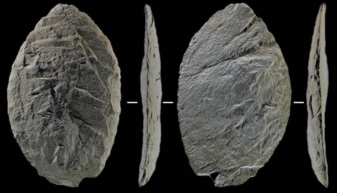 LA VITA NEL QINGHAI-TIBET RISALE A 100MILA ANNI FA, Mirabile Tibet