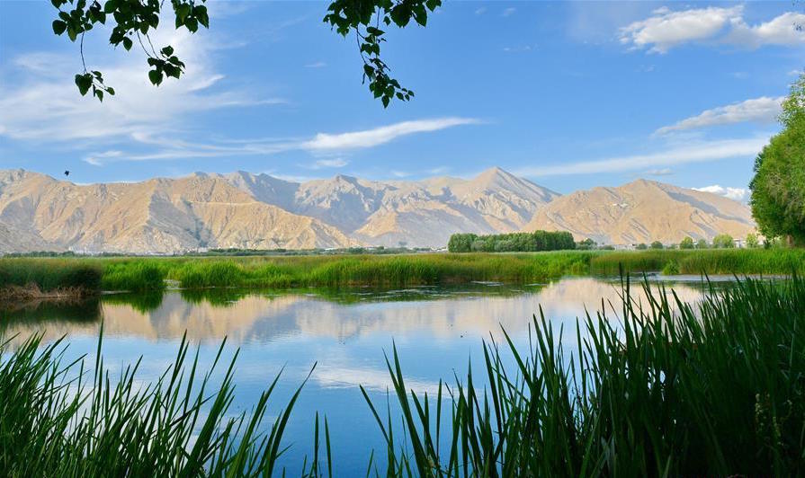 A LHASA, LA ZONA UMIDA PI&Ugrave; ALTA DEL MONDO, Mirabile Tibet