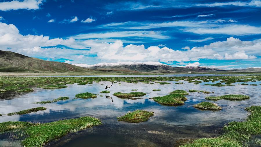 LEGGERE LE NUVOLE DEL QINGHAI-TIBET, Mirabile Tibet
