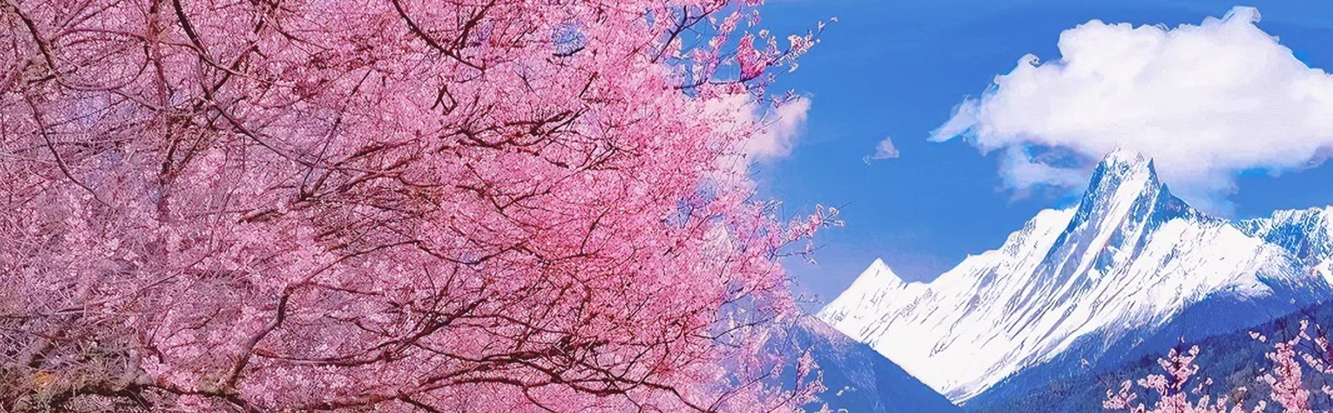 MIRABILE TIBET: DALL&rsquo;ECOLOGIA ALL&rsquo;ECONOMIA E RITORNO, Mirabile Tibet